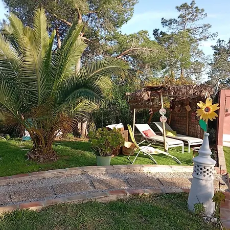 Morphee Valdareina, Piscine Chauffee, Benagil-carvoeiro *