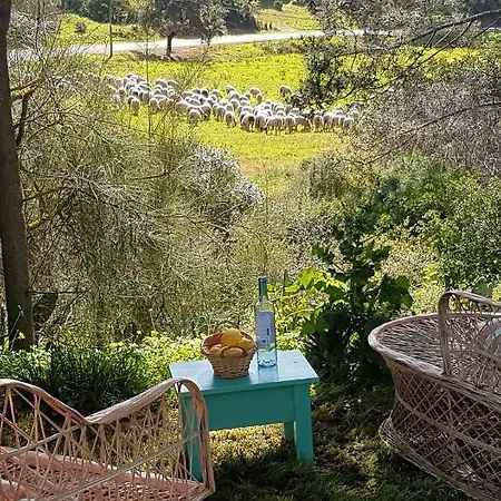 Morphee Valdareina, Piscine Chauffee, Benagil-carvoeiro