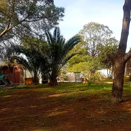 Morphee Valdareina, Piscine Chauffee, Benagil-carvoeiro *