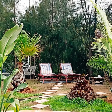 Morphée Valdareina, Piscine Chauffée, Bénagil-carvoeiro *