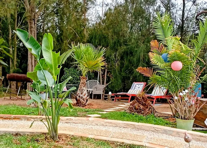 Morphee Valdareina, Piscine Chauffee, Benagil-carvoeiro Apartament